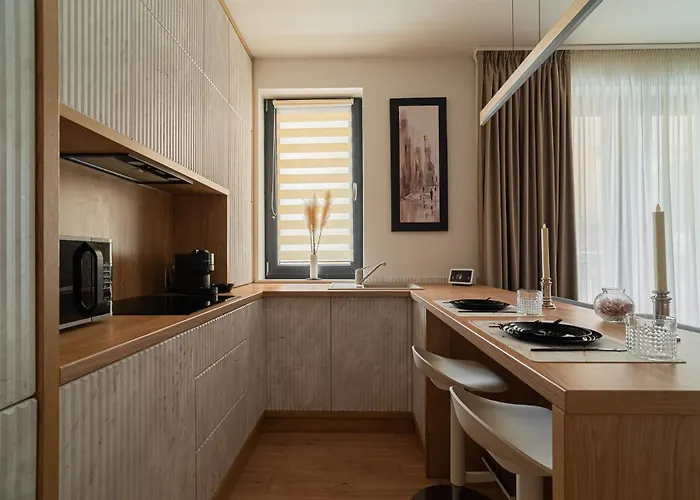 公寓 Opera 5stars 1br New Building - - Cismigiu - Eroilor *