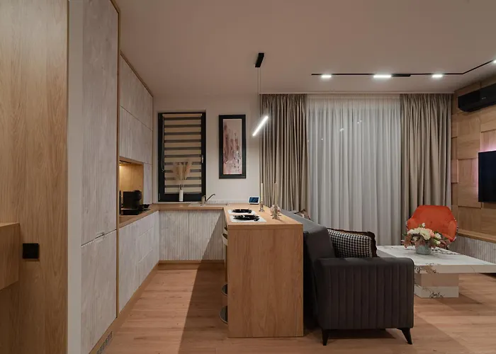 公寓 Opera 5stars 1br New Building - - Cismigiu - Eroilor *