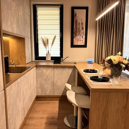 Opera 5stars 1br New Building - - Cismigiu - Eroilor 公寓