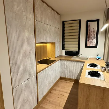 Opera 5stars 1br New Building - - Cismigiu - Eroilor 布加勒斯特